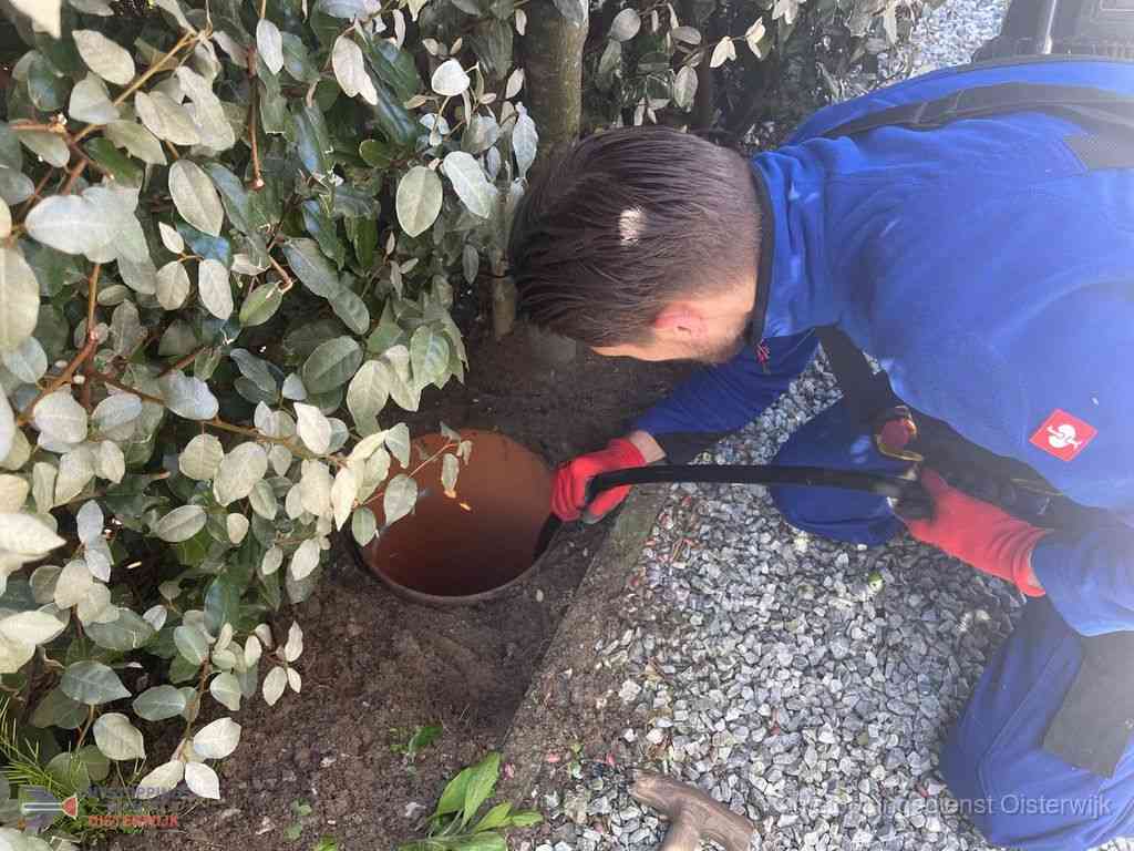 Rioolvliegjes Oisterwijk Rioolvliegjes Oisterwijk